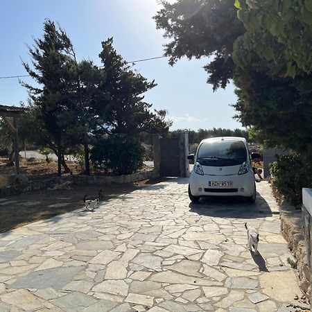 Villa Serapis Aletraki Off grid Archanes Dış mekan fotoğraf