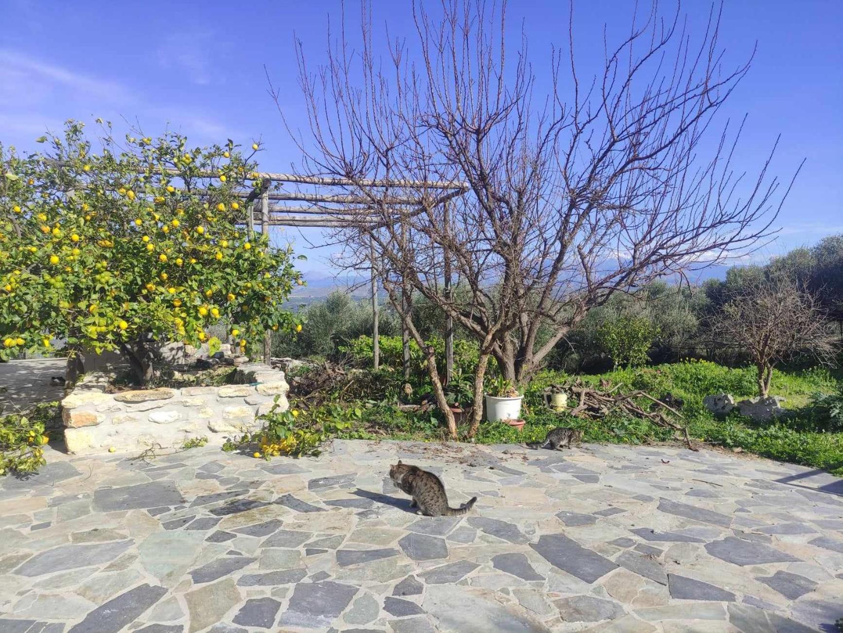 Villa Serapis Aletraki Off grid Archanes Dış mekan fotoğraf